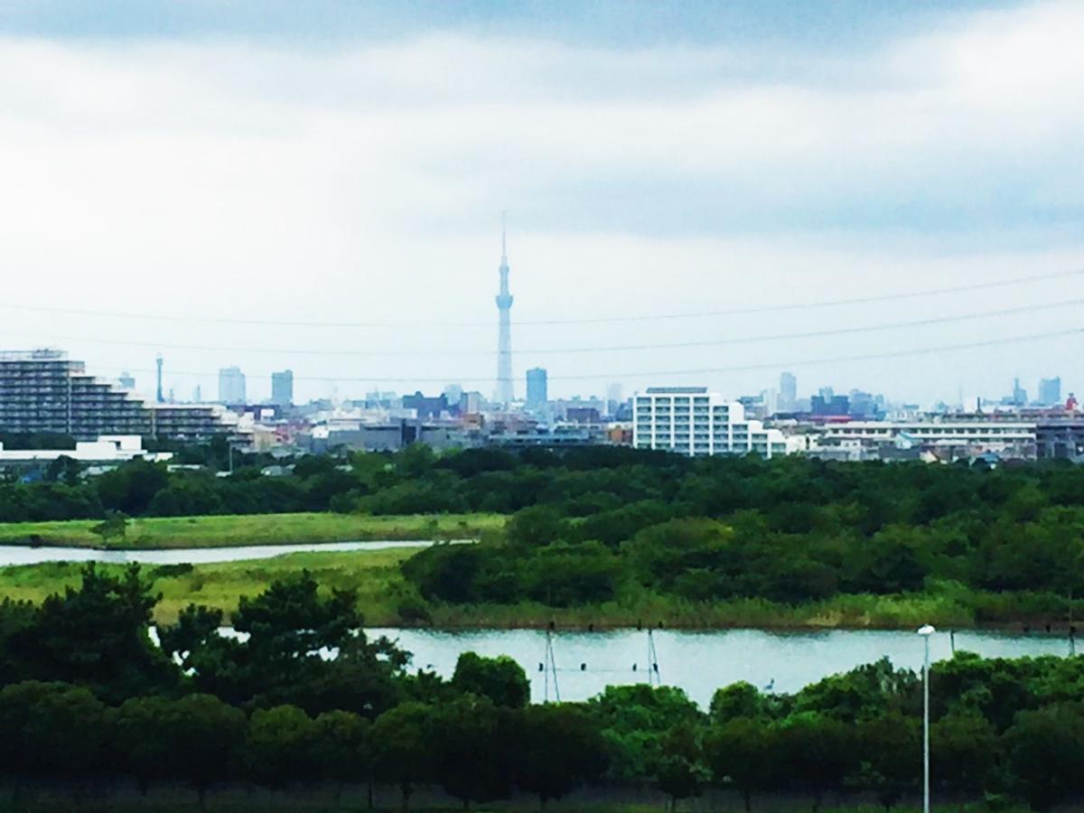 Nice Inn Hotel Ichikawa Tokyo Bay Urayasu Esterno foto
